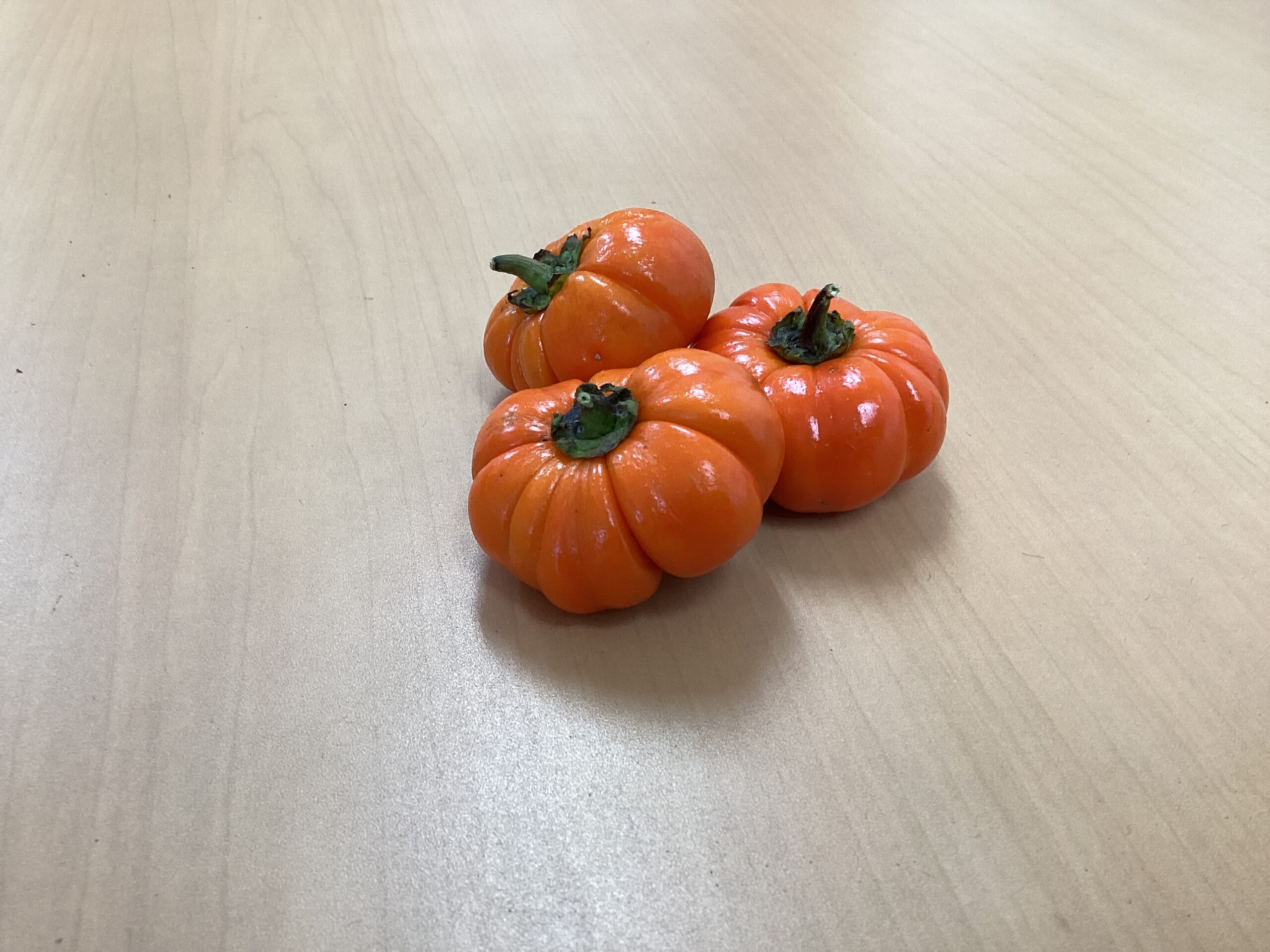 AE45363B-4E63-4DA6-91CE-